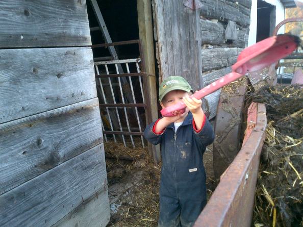 Wordless Wednesday: Old-Fashioned Manure Handling